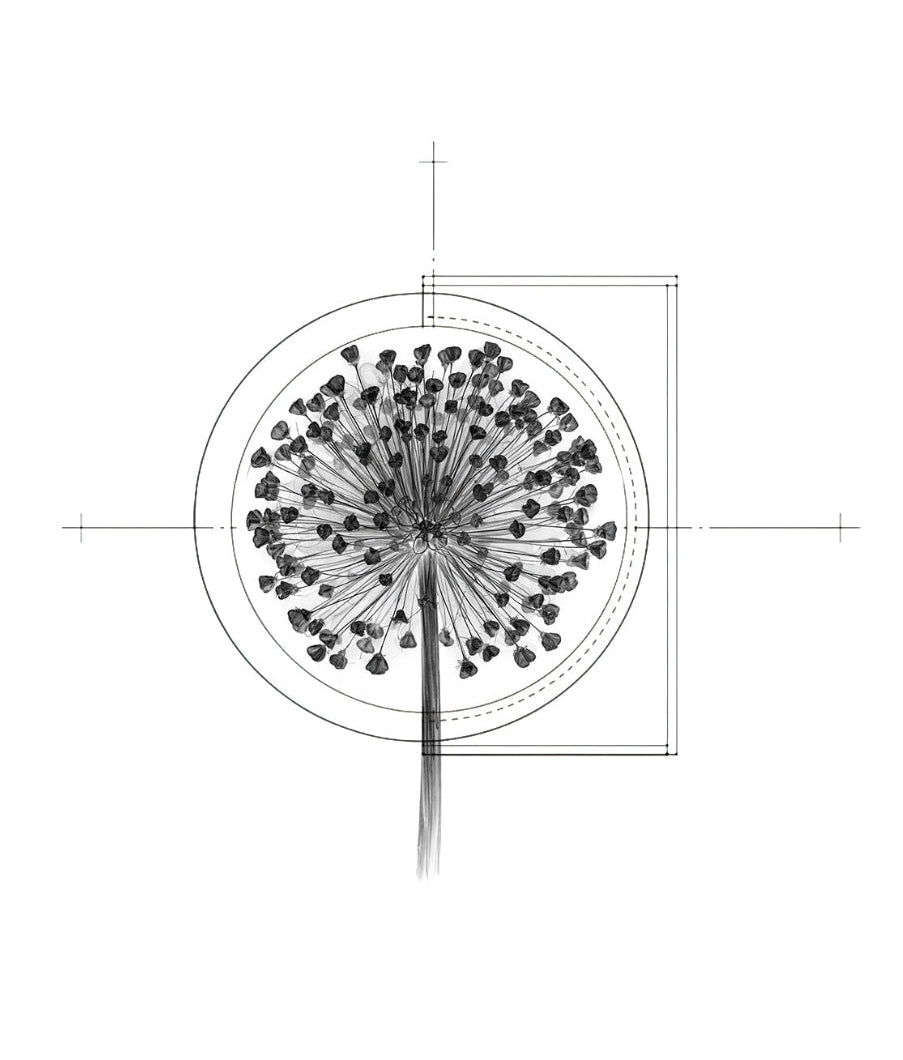 Anantā | Longevity