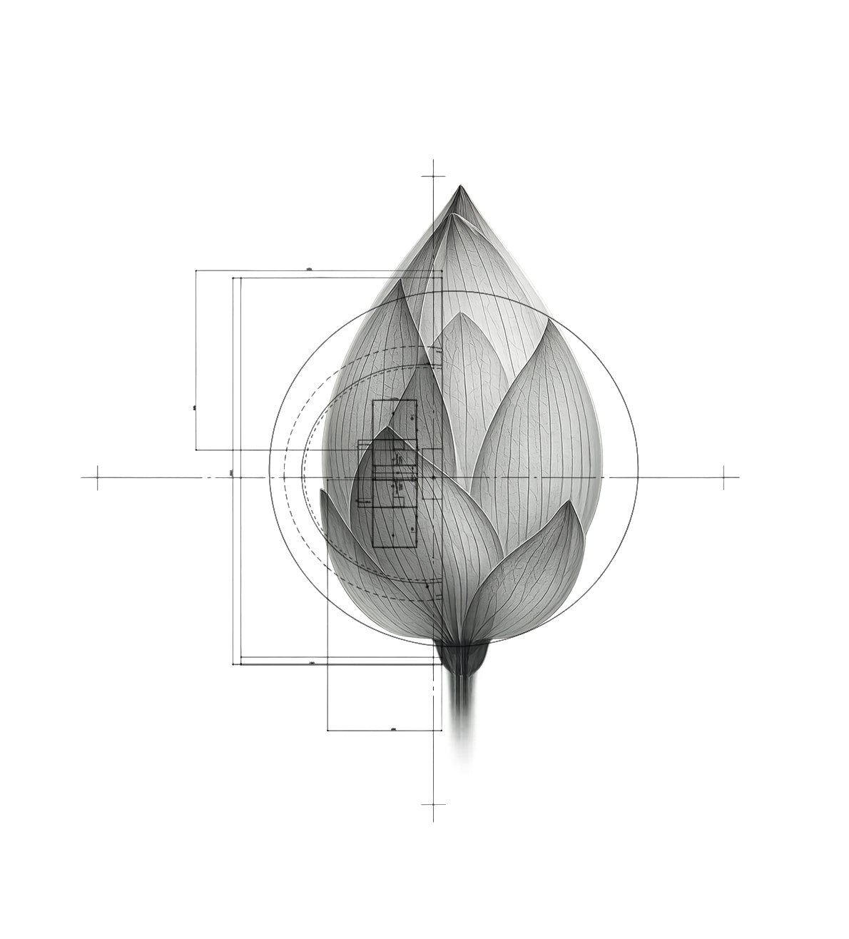 Nidrā | Sleep