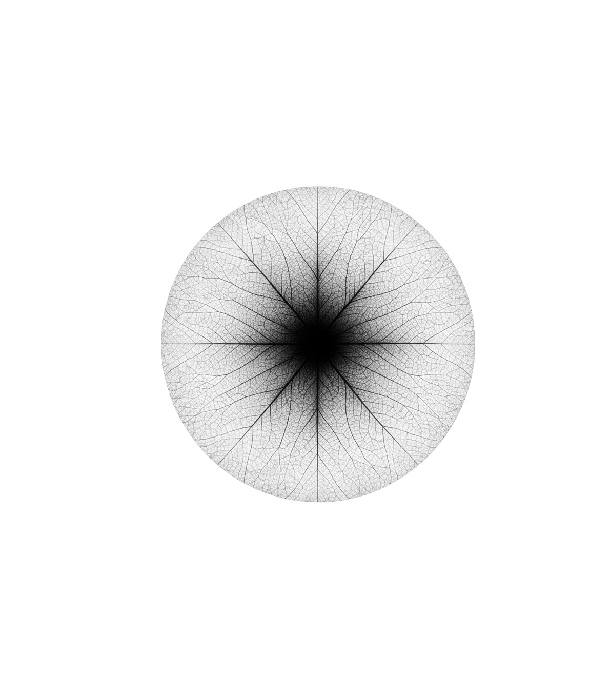 Dhyāna | Cognition